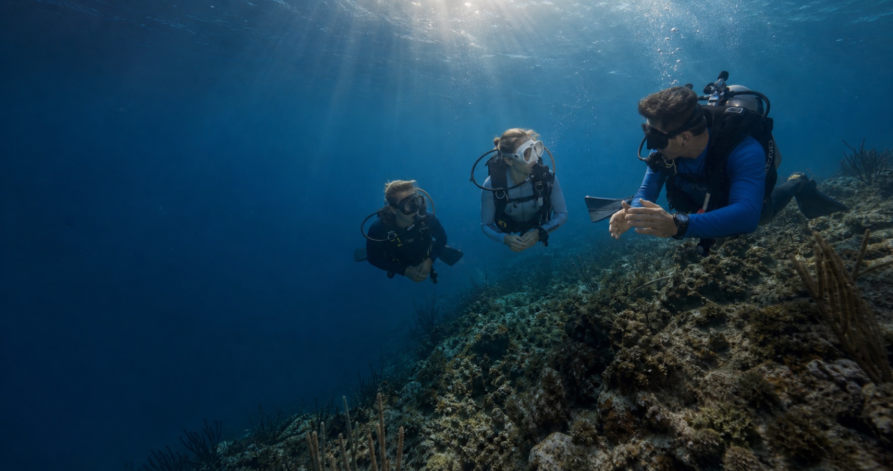 Divers exploring a reef