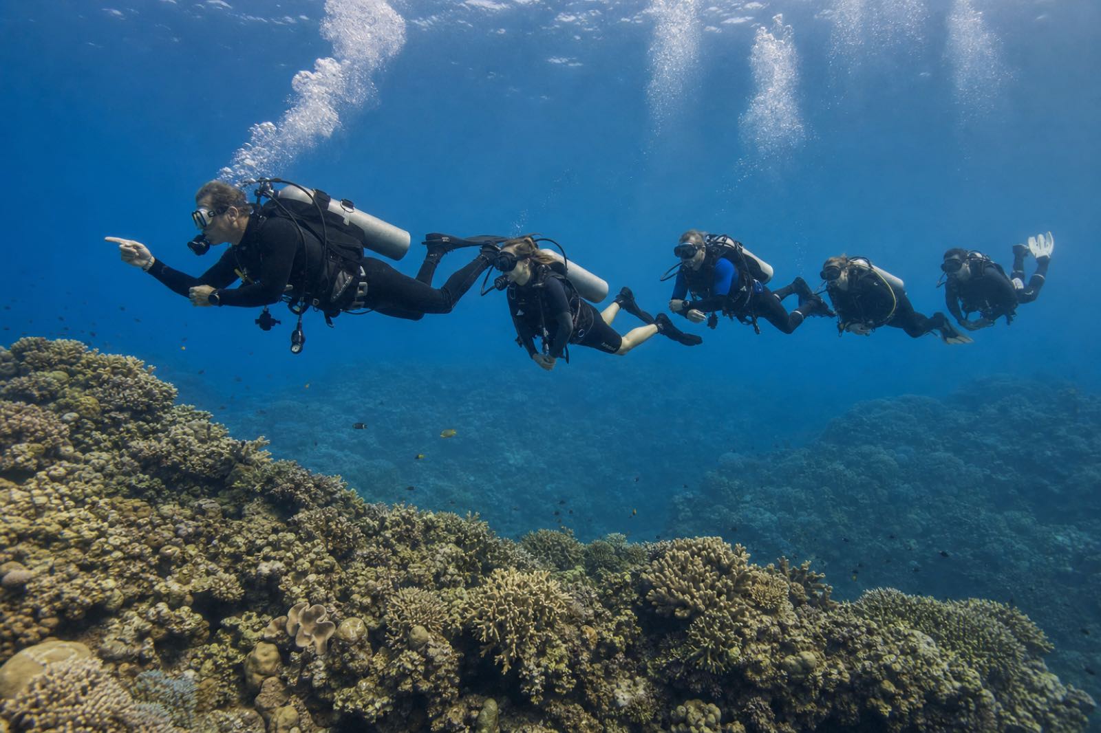 A guide leading a small group of neutrally buoyant certified divers above a healthy reef ledge